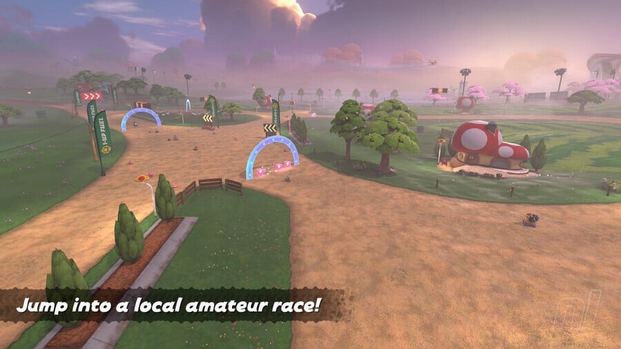 P Switch mission objective