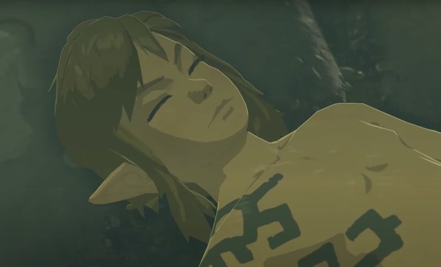 Zelda Sleep