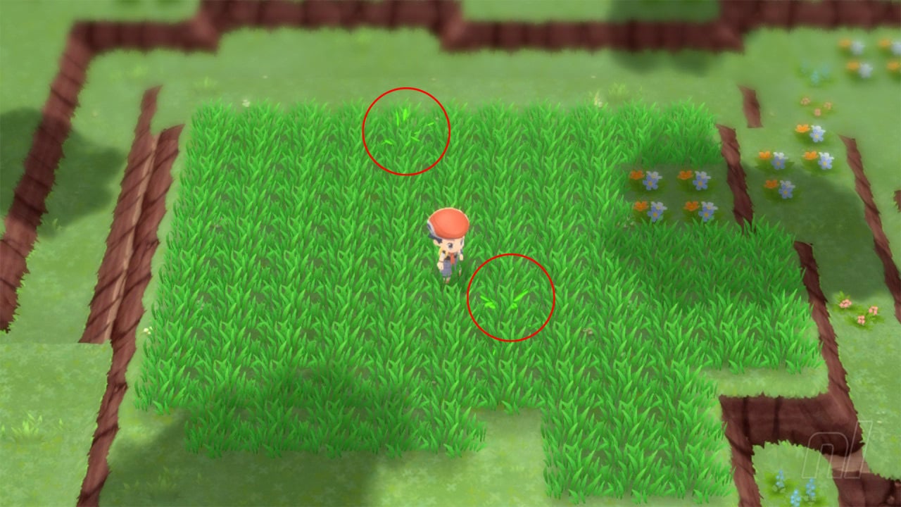 How To Find Shiny Pokemon In Pokemon BDSP