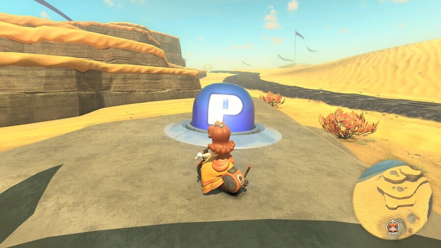 Desert P Switch 10