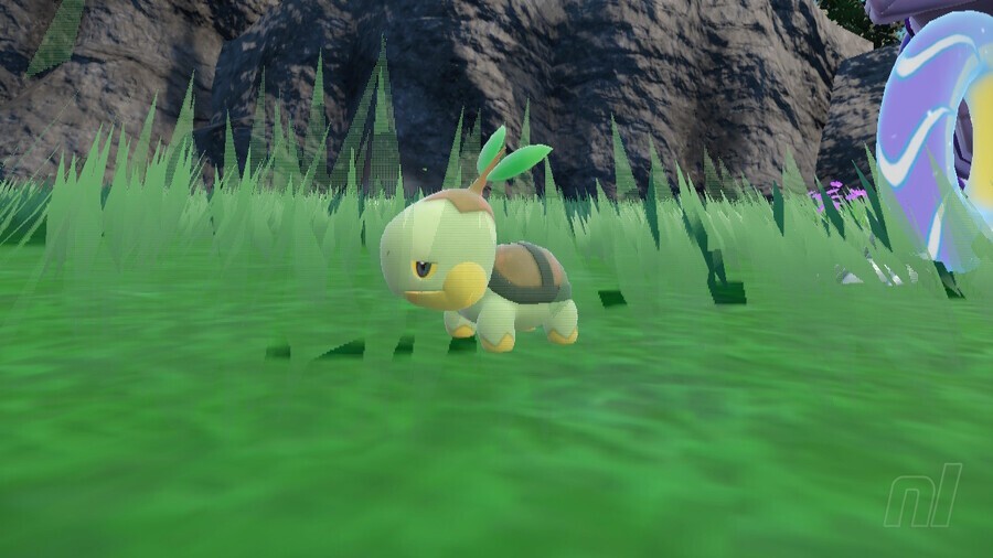 Turtwig