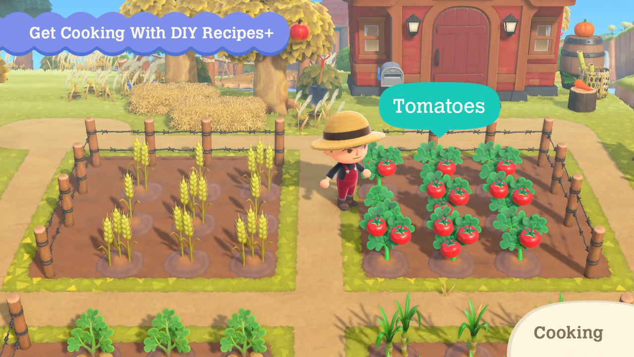 Hidden Games Tomatoes Una solucion venen