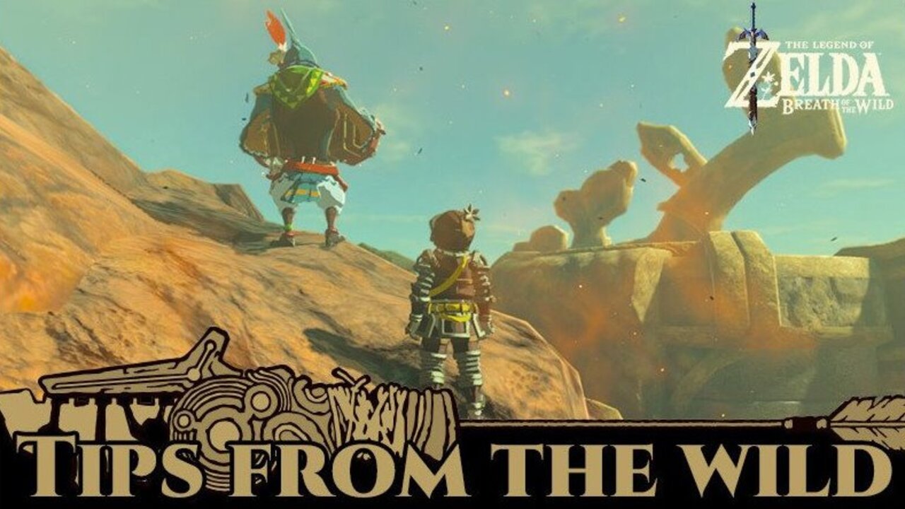 The Latest Zelda Breath of the Wild Free Gift is a Bit Mean to Kass