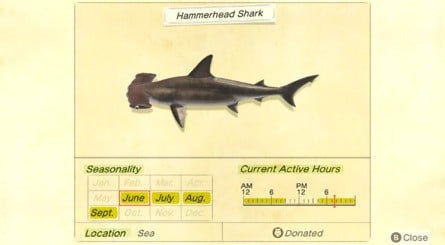 Hammerhead Shark Animal Crossing New Horizons