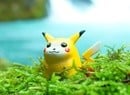 World's Biggest Pokémon Collection Estimated To Sell For Up To £300k In Auction Later This Month