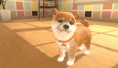 Little Friends: Dogs & Cats Is A Nintendogs-Style Game Coming Exclusively To Switch