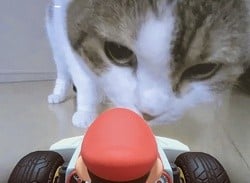 Sakurai's Cat Is Also Curious About Mario Kart Live: Home Circuit