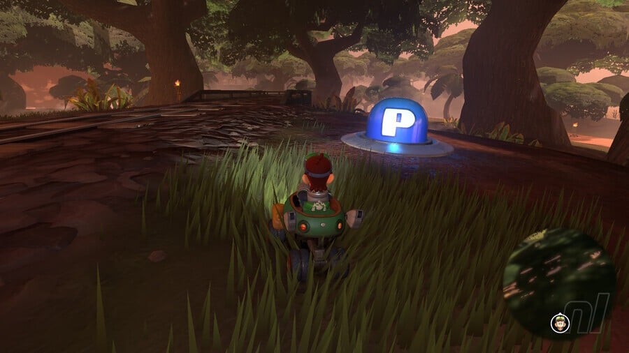 Jungle Safari 28