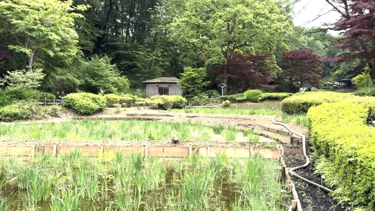 Un viaje a Machida, la ‘Ciudad Paleta’ de la vida real que inspiró a Pokémon