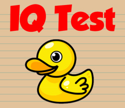 IQ Test Cover