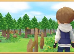 The Big 1.0.5 Story Of Seasons Patch Is Live In Japan: Here's What's Changed