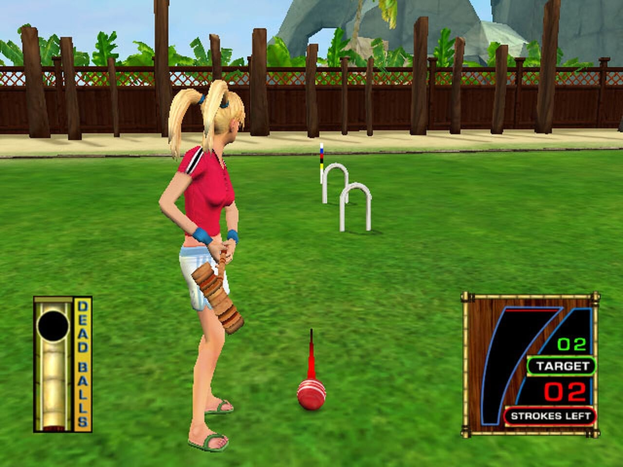 Spot of Croquet Timmy?