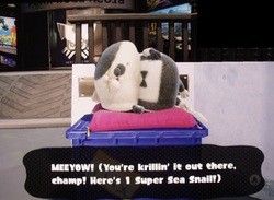With Splatfests Finished, Judd Is Now Your Source of Super Sea Snails in Splatoon