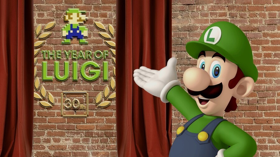 Year Of Luigi