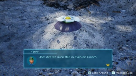 Pikmin 4 Giant's Hearth