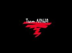 Team Ninja Reveals Wii U Evolution