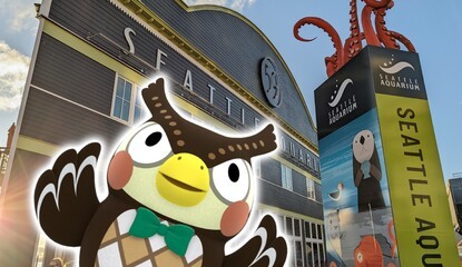 A Look Inside Seattle's Real-Life Animal Crossing Aquarium