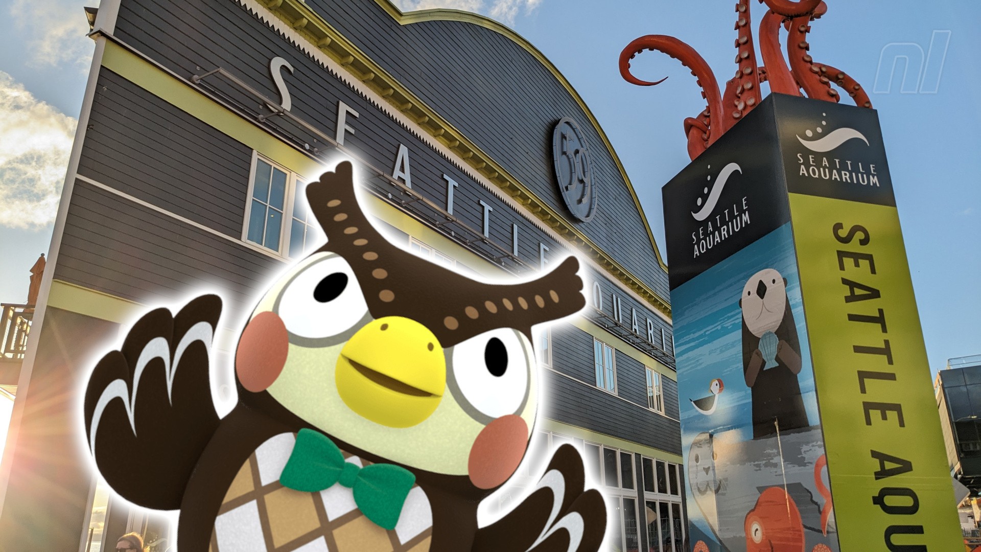 Feature: A Look Inside Seattle's Real-Life Animal Crossing Aquarium