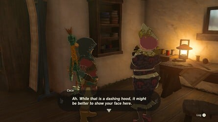 HOW TO WEAR YOUR HYLIAN HOOD DOWN