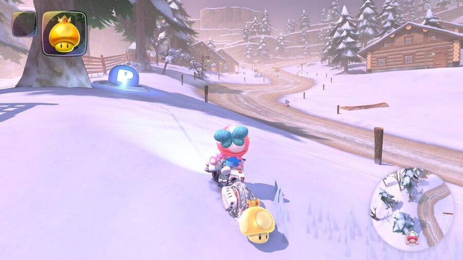 Snow P Switch 6