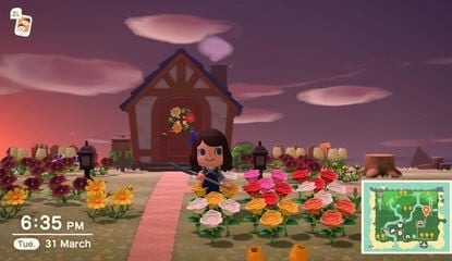 Animal Crossing: New Horizons: How To Grow And Breed Flowers, Hybrid Flowers And Gold Roses Explained