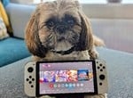 Farewell, Nintendo Switch - It's Finally Time To Bid Our Old Friend 'Adieu'