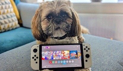 Farewell, Nintendo Switch - It's Finally Time To Bid Our Old Friend 'Adieu'