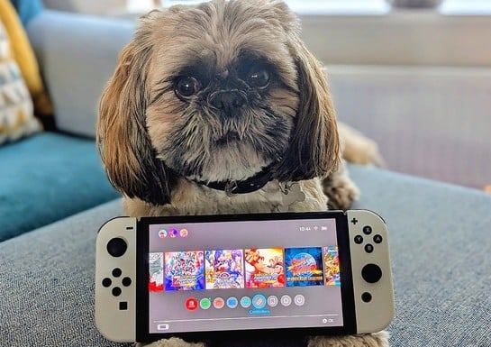 Farewell, Nintendo Switch - It's Finally Time To Bid Our Old Friend 'Adieu'