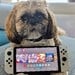 Feature: Farewell, Nintendo Switch - It's Finally Time To Bid Our Old Friend 'Adieu'