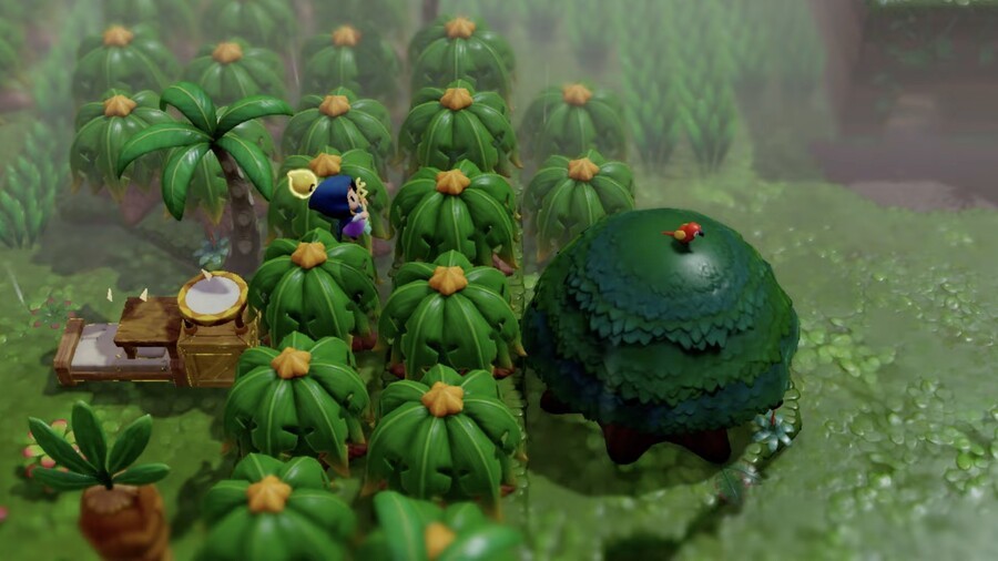 Zelda: Echoes of Wisdom Details