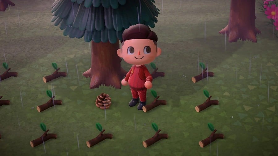 Animal Crossing New Horizons Pine Cone