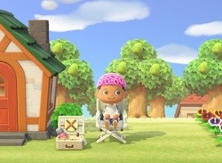 Reggie Tells Fans He Would "Never" Time Travel In Animal Crossing