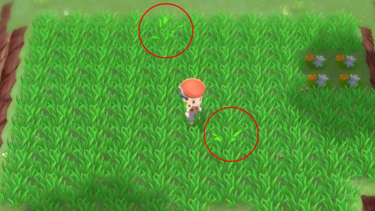 Pokémon Brilliant Diamond And Shining Pearl Defog HM - Where To