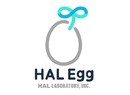 HAL Laboratory Opens HAL Egg, a Mobile Game Development Branch