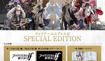 Fire Emblem: If Special Edition Bundle Sold Out In Japan, Sparks Second Shipment for Pre-Orders