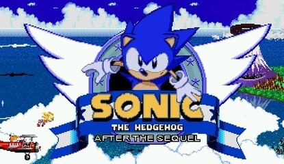 How One Man Is Giving Sonic Fans The Game They Want To Play