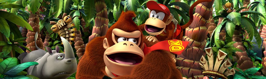 Donkey Kong 3 D Banner