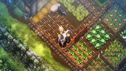 Village In The Shade