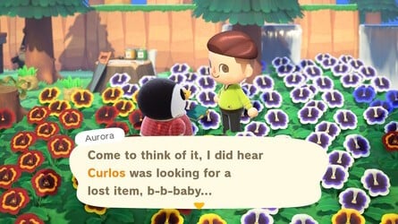 Animal Crossing New Horizons Lost Item Suggestion