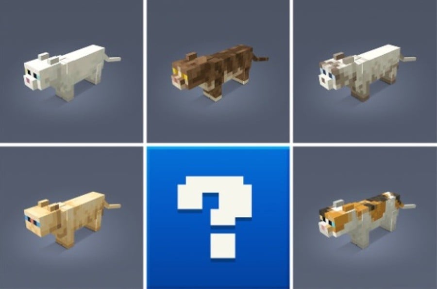 Minecraft Cats