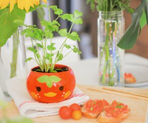 AC Planters by SailorHG and Alice Lee