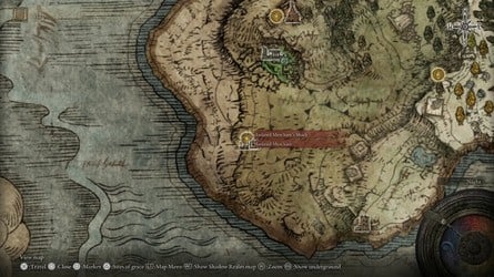 Elden Ring Tarnished Edition content