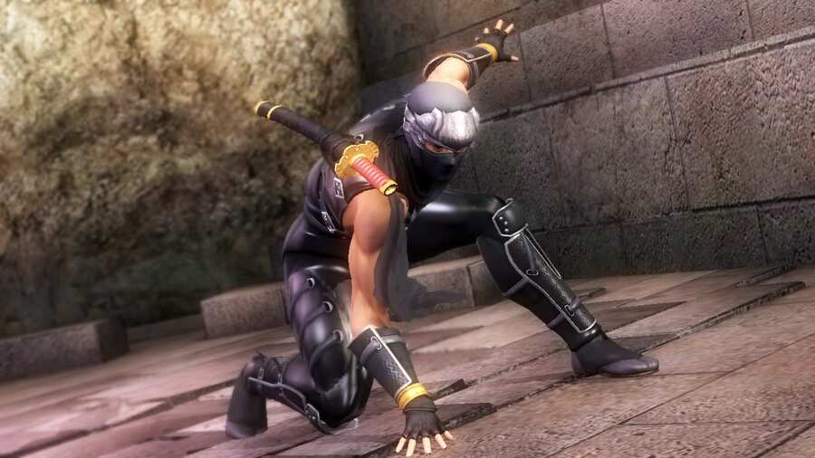 Ninja Gaiden