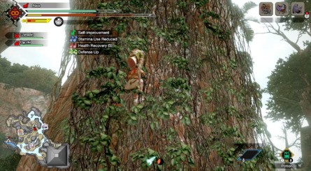 Flooded Forest Sub-Camp Location 2