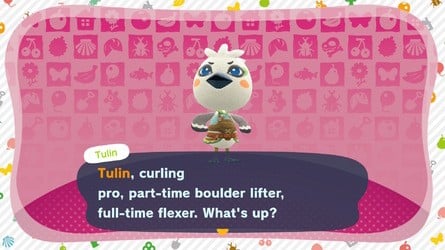 Animal Crossing New Horizons Hotel