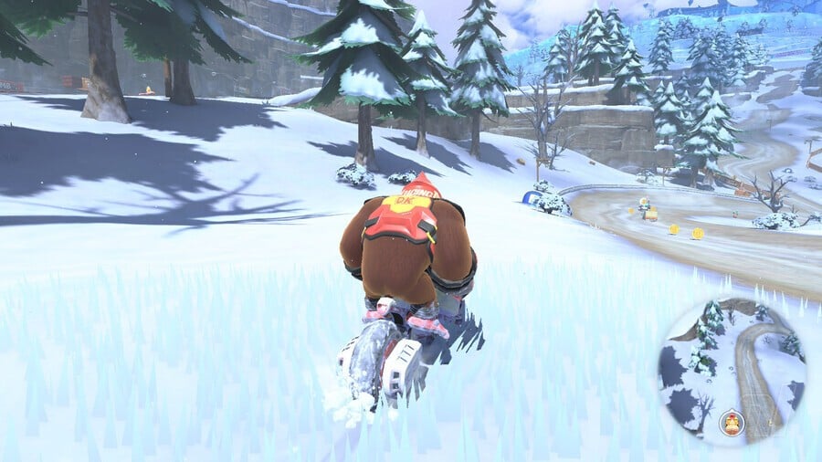 Snow P Switch 29