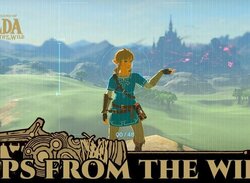 The Latest Zelda: Breath of the Wild 'Tip' is All About Selfies