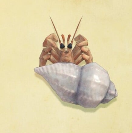70. Hermit Crab Animal Crossing New Horizons Bug