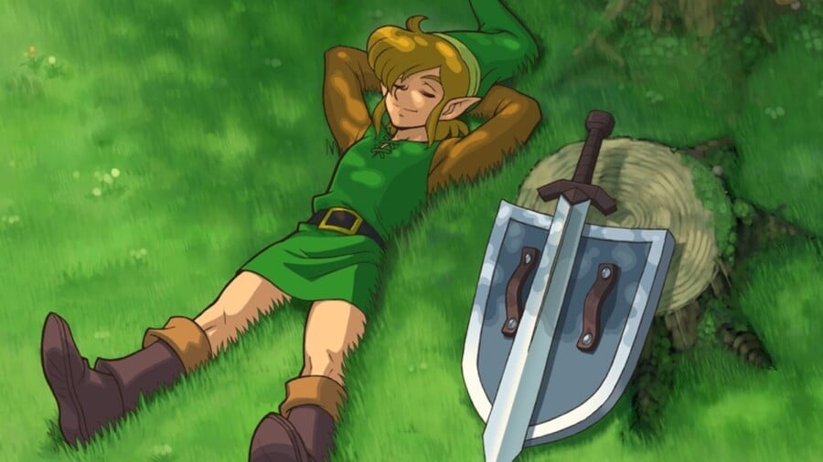 The Legend Of Zelda Link