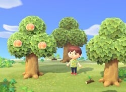 Animal Crossing: New Horizons: How To Cut Down And Move Trees - Collecting Hardwood, Softwood And Wood Explained